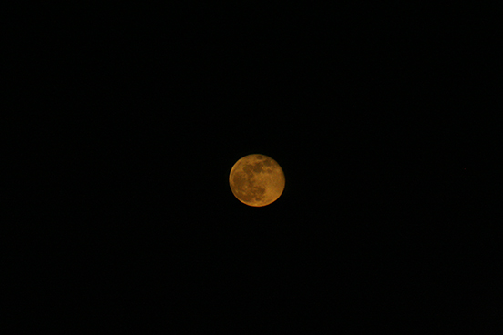 85.jpg