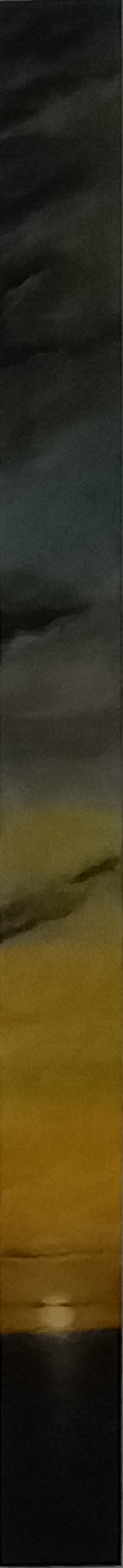 20250706_125359.jpg